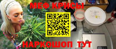 шишки Кандалакша