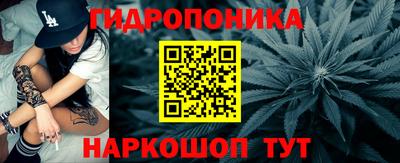 шишки Кандалакша