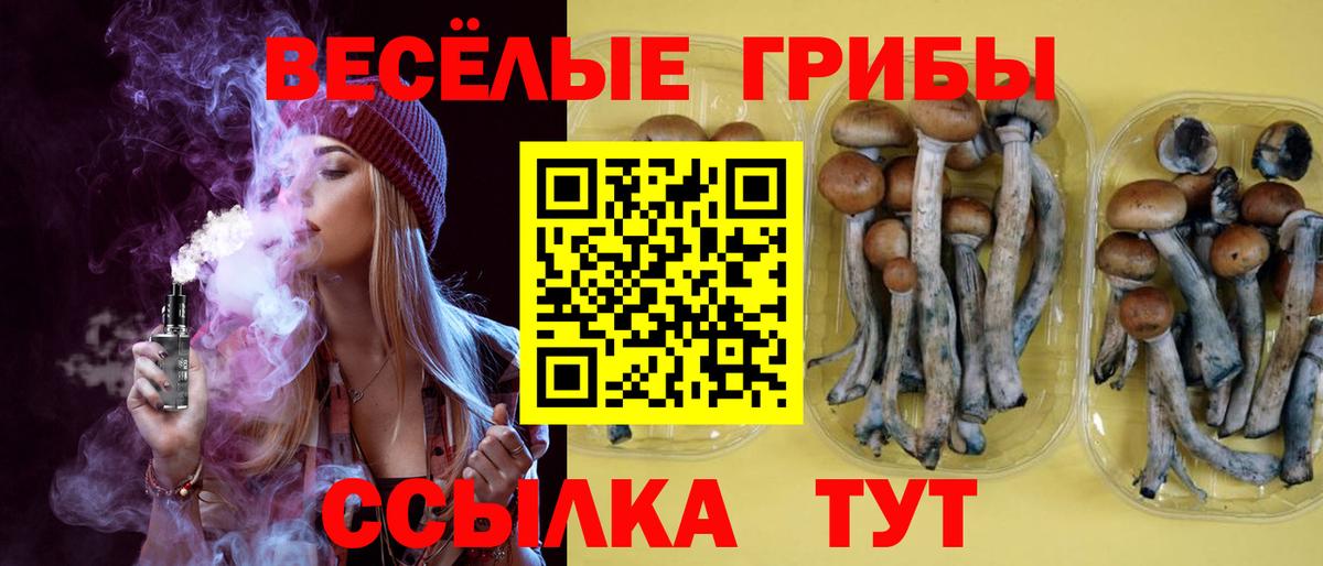 где можно купить наркотик  Вход с VPN  Кулебаки  Псилоцибиновые грибы Cubensis 